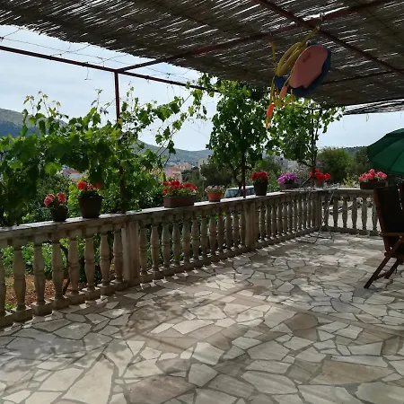 Vito *